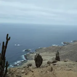 Pan de Azúcar National Park - Taltal