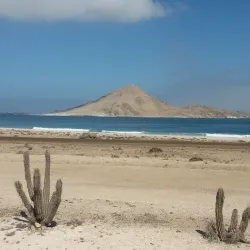 Pan de Azúcar National Park - Taltal