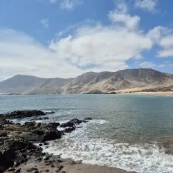 Pan de Azúcar National Park - Taltal