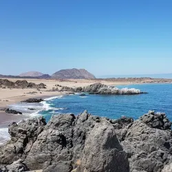 Pan de Azúcar National Park - Taltal