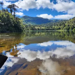 Laguna Verde - Temuco