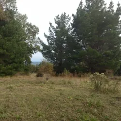 Rucamanque Reserve - Temuco