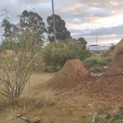 Parque El Belloto - Villa Alemana