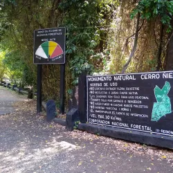 Cerro Ñielol - Villarrica