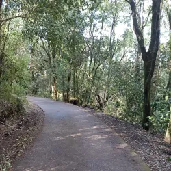 Cerro Ñielol - Villarrica