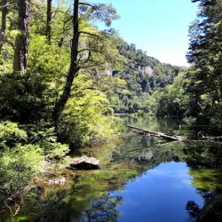 Huerquehue National Park - Villarrica