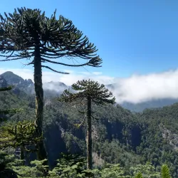 Huerquehue National Park - Villarrica