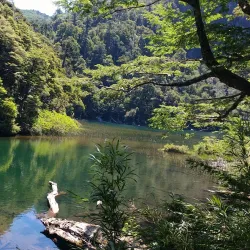 Huerquehue National Park - Villarrica