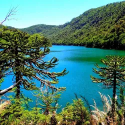 Huerquehue National Park - Villarrica