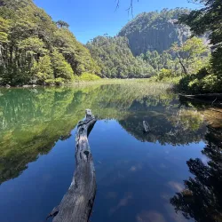 Huerquehue National Park - Villarrica