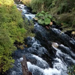 Lago Caburgua - Villarrica