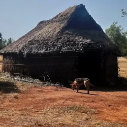 Museo Mapuche de Cañete - Villarrica