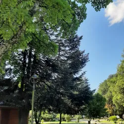 Plaza de Armas Villarrica - Villarrica