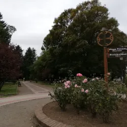 Plaza de Armas Villarrica - Villarrica