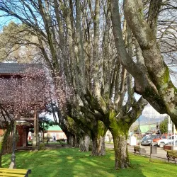 Plaza de Armas Villarrica - Villarrica
