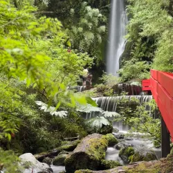 Termas Geométricas - Villarrica