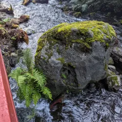 Termas Geométricas - Villarrica
