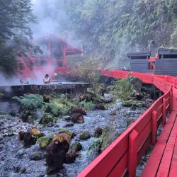 Termas Geométricas - Villarrica