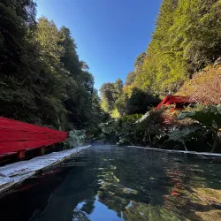 Termas Geométricas - Villarrica