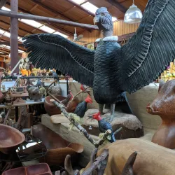 Villarrica Market - Villarrica