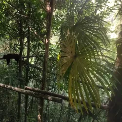 Foping National Nature Reserve - Ankang