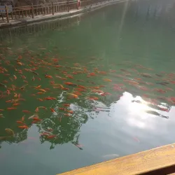 Fenghuang Mountain Scenic Area - Anqing