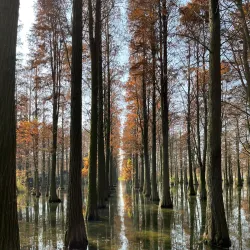 Qingxi Park - Anqing