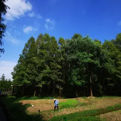 Qingxi Park - Anqing