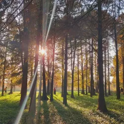 Qingxi Park - Anqing
