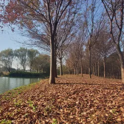 Qingxi Park - Anqing