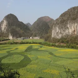 Dragon Palace Cave (Longgong Cave) - Anshun