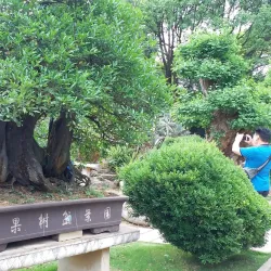 Xianren Cave - Anshun