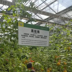 Baicheng Agricultural Exhibition Center - Baicheng