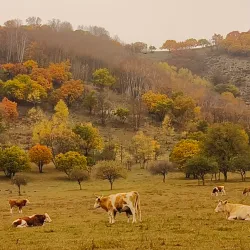 Wulanbutong Grassland - Baicheng
