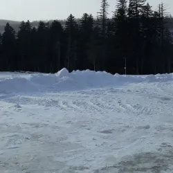 Baishan Forest Park - Baishan