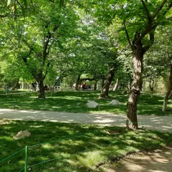 Qinling Wildlife Zoo - Baoji