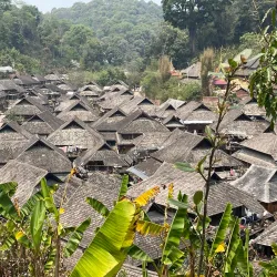 Jingmai Mountain - Baoshan