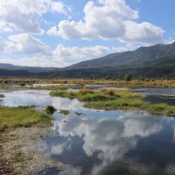 Mangshi Wetlands - Baoshan