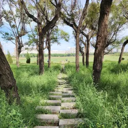 Baotou Rare Earth High-Tech Industrial Development Zone - Baotou