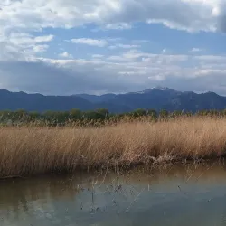 Beian Wetland Park - Beian