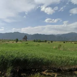 Beian Wetland Park - Beian