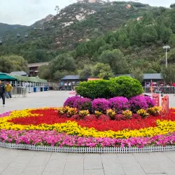 Beian Wetland Park - Beian