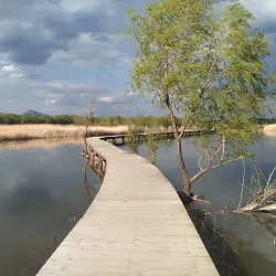 Beian Wetland Park - Beian