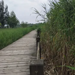 Beian Wetland Park - Beian
