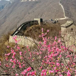 The Great Wall of China (Mutianyu Section) - Beijing