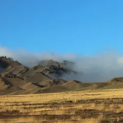 Bortala Grassland - Bortala (Bole)
