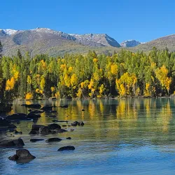 Kanas Lake (nearby) - Bortala (Bole)