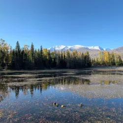 Kanas Lake (nearby) - Bortala (Bole)