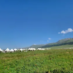 Nalati Grassland (nearby) - Bortala (Bole)