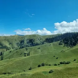 Nalati Grassland (nearby) - Bortala (Bole)